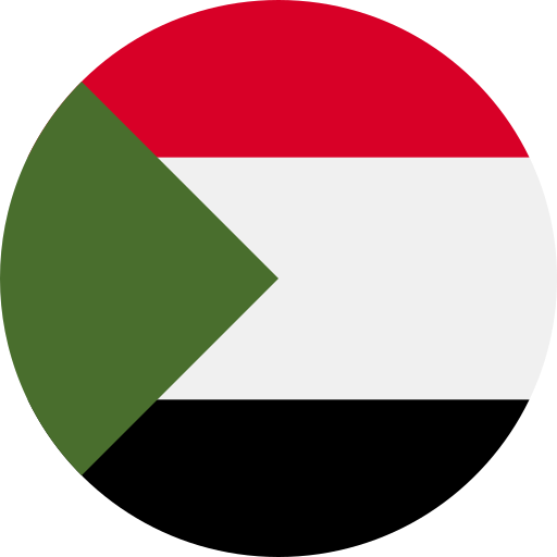 جمهورية السودان ممثلة بمعالي وزير العمل والإصلاح الإداري.