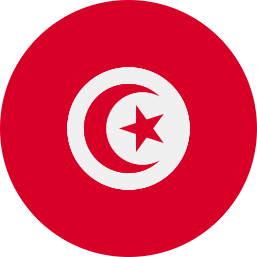 Conseil Économique et Social de la Tunisie